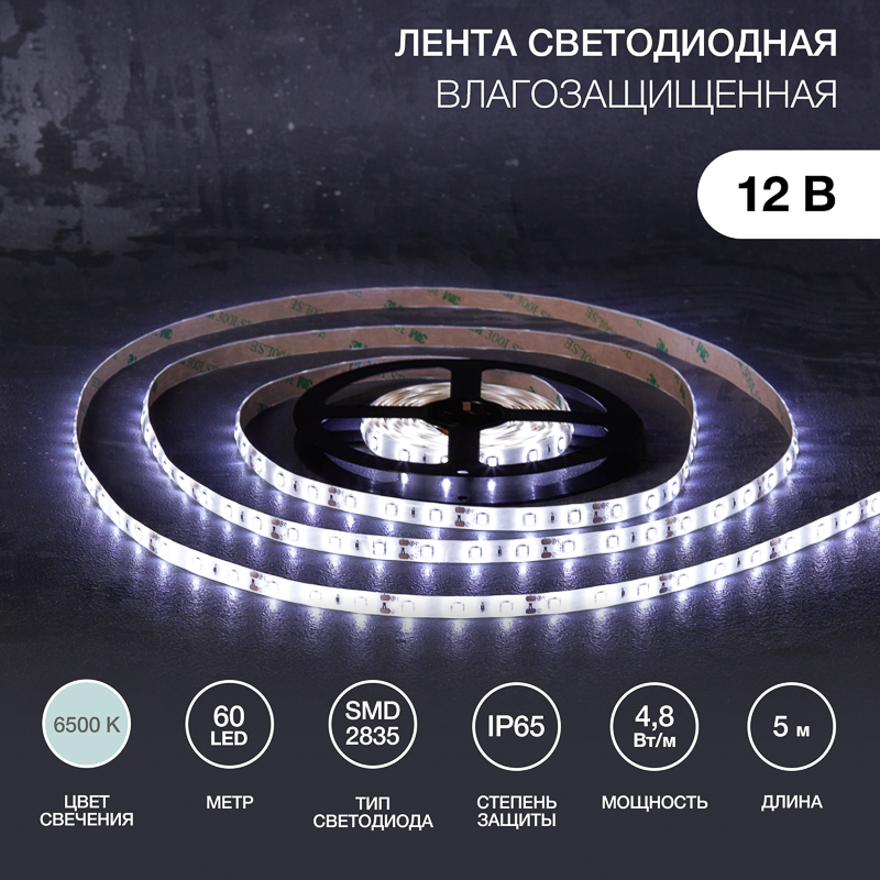 Лента светодиодная 12В, SMD2835, 4,8Вт/м, 60 LED/м, 6500К, 8мм, 5м, для БП с клеммами, IP65 LAMPER — фото
