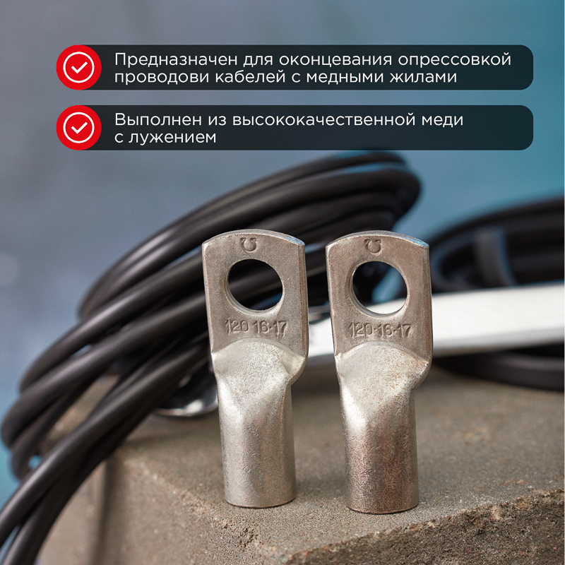 Наконечник медный луженый ТМЛ 120–16–17 (120мм² - Ø16мм) ГОСТ 7386-80 (в упак. 2 шт.) REXANT — фото