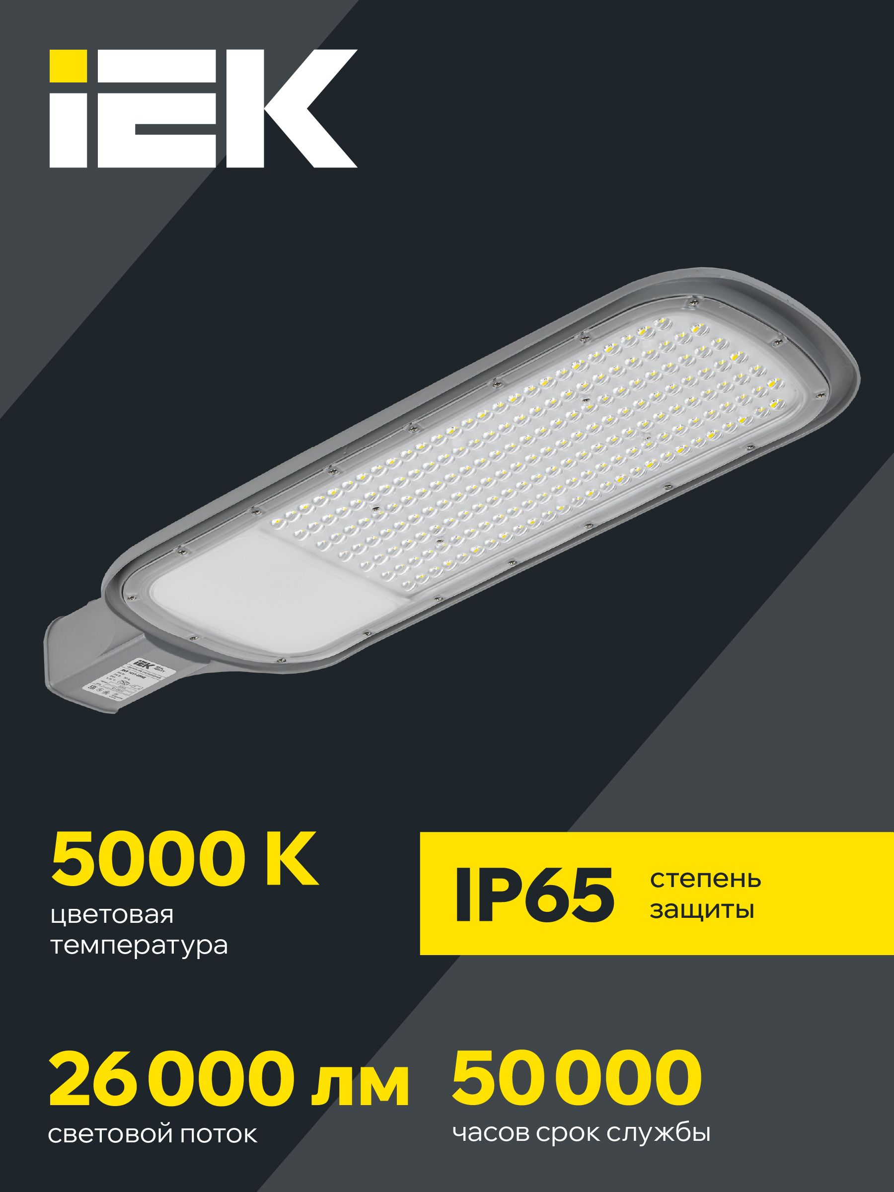 Светильник светодиодный консольный ДКУ 1012-200Ш 5000К IP65 серый IEK — фото