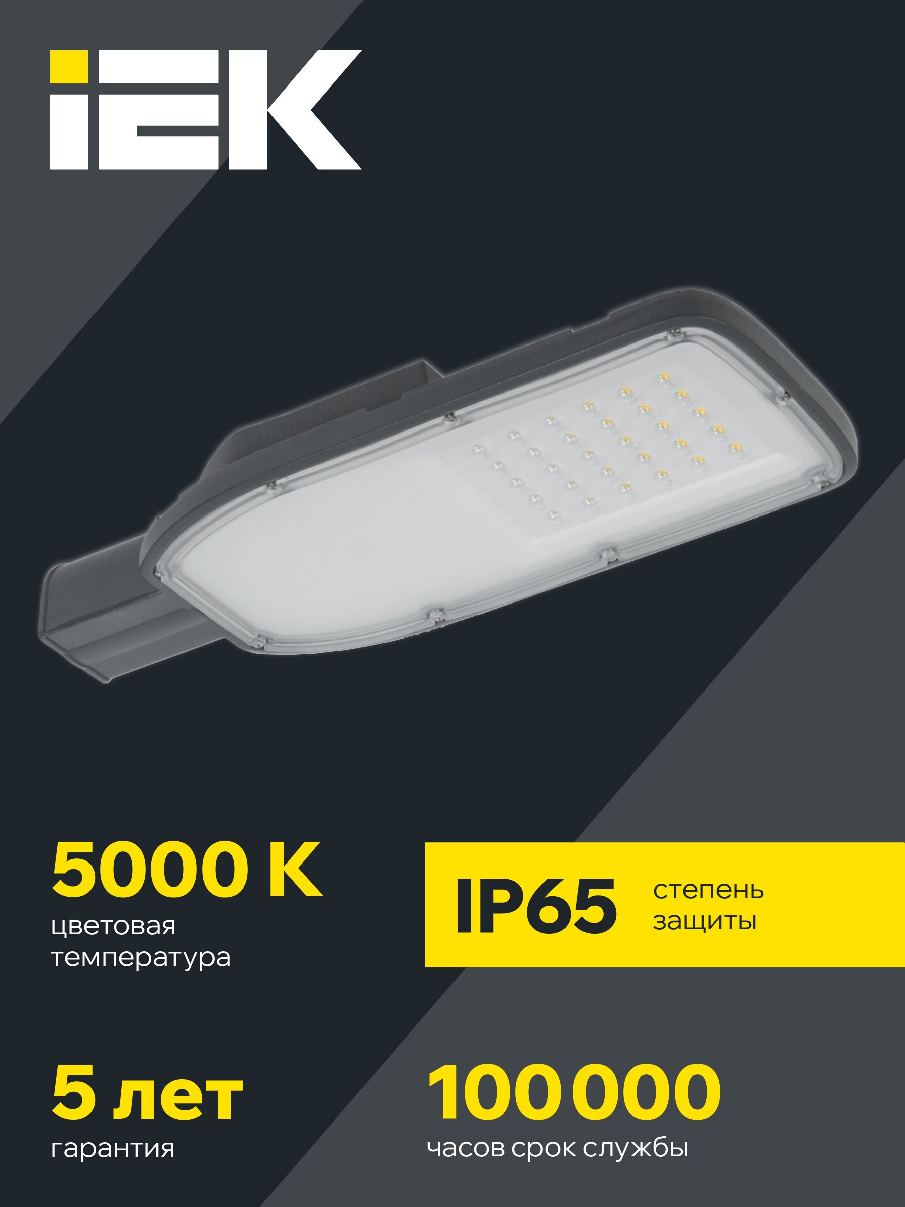 Светильник светодиодный консольный ДКУ 1004-50Ш 5000К IP65 серый IEK — фото