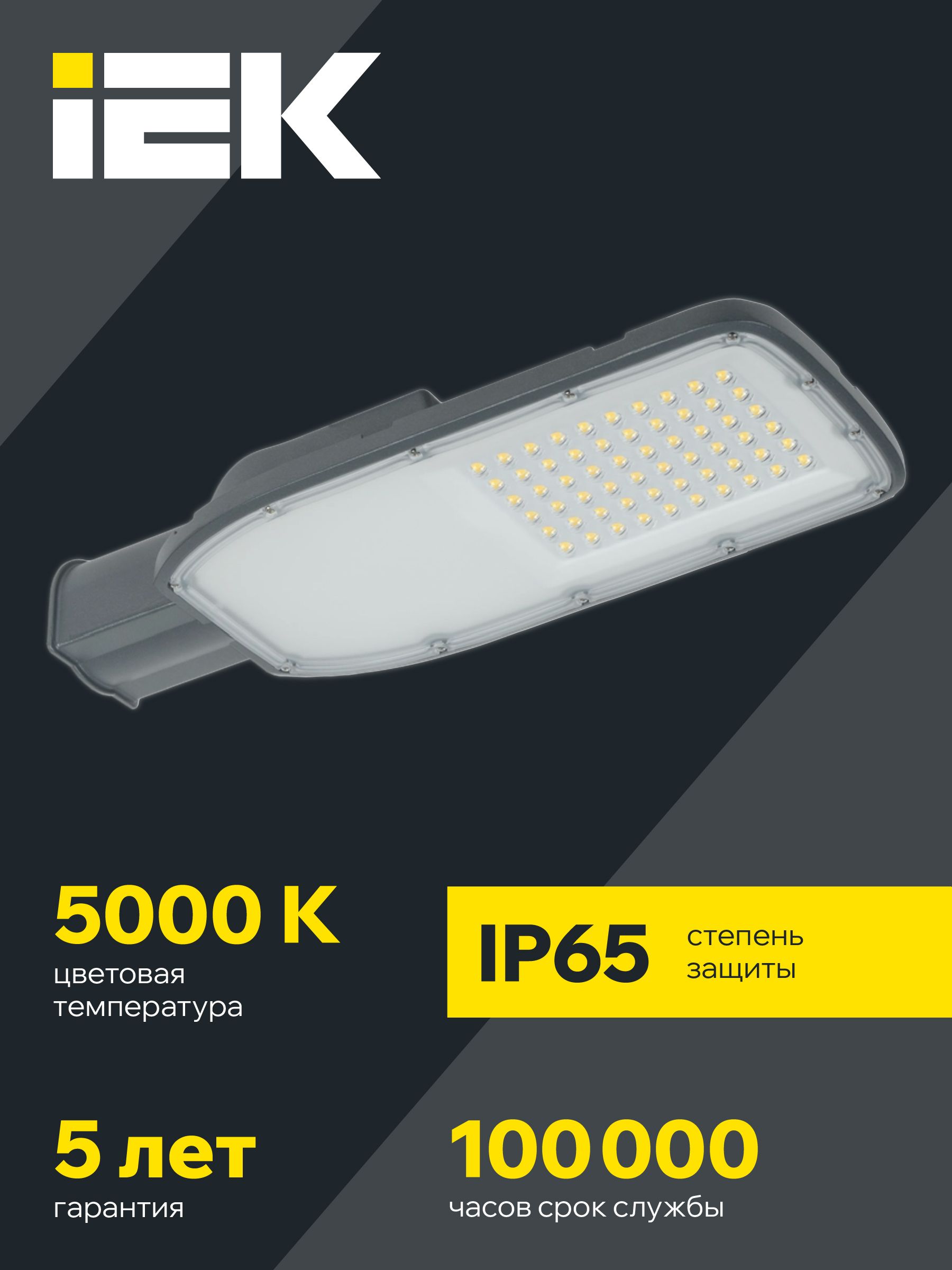 Светильник светодиодный консольный ДКУ 1004-100Ш 5000К IP65 серый IEK — фото