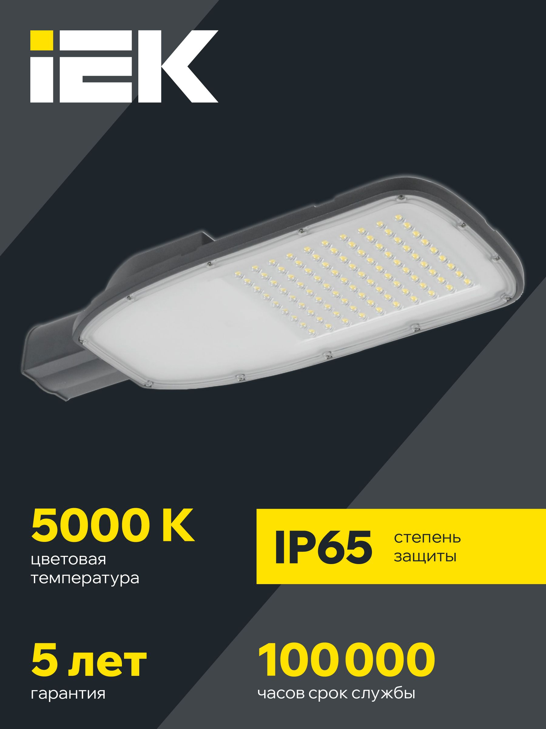 Светильник светодиодный консольный ДКУ 1004-200Ш 5000К IP65 серый IEK — фото