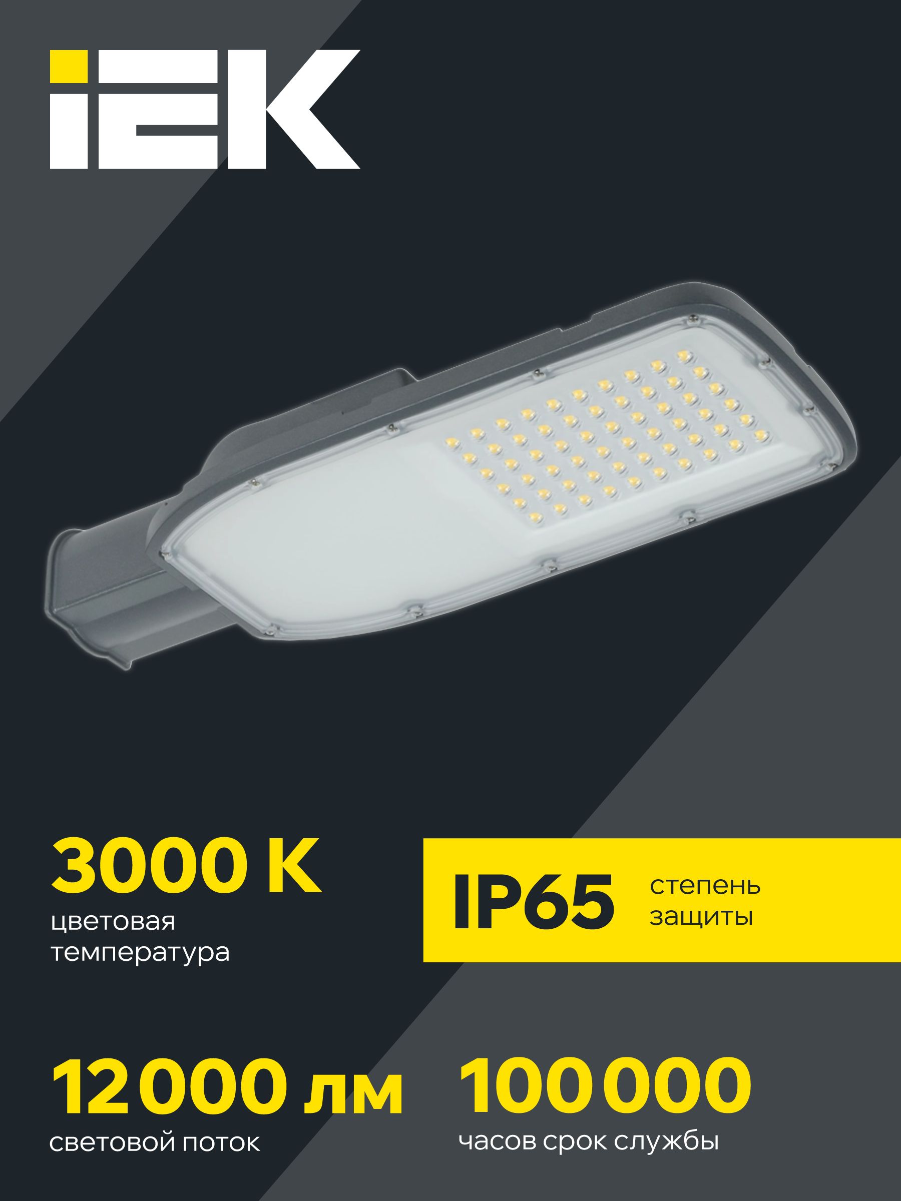 Светильник светодиодный консольный ДКУ 1004-100Ш 3000К IP65 серый IEK — фото