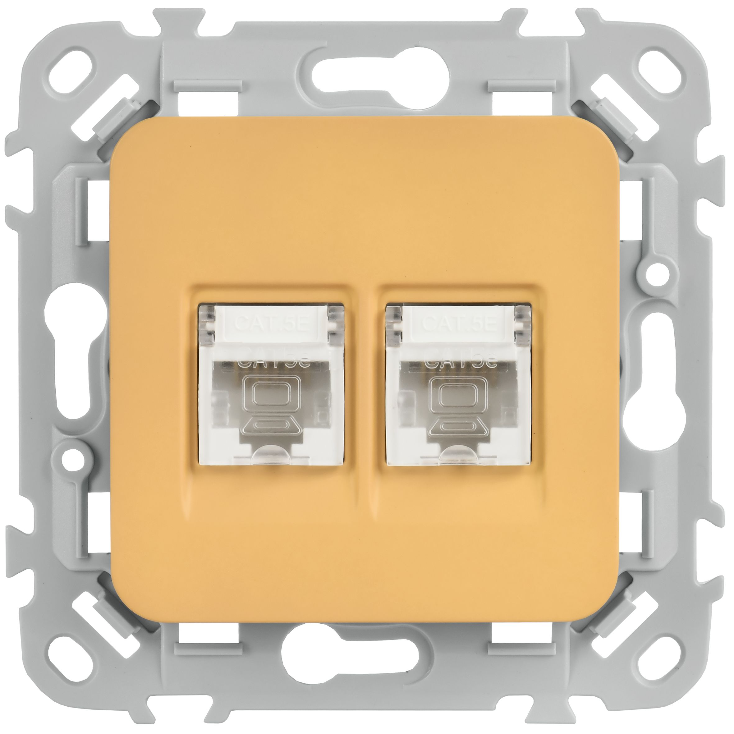 FLITE Розетка 2-местная компьютерная RJ45 категория 5Е UTP РК5е-2-0-ФлШм шамуа IEK — фото