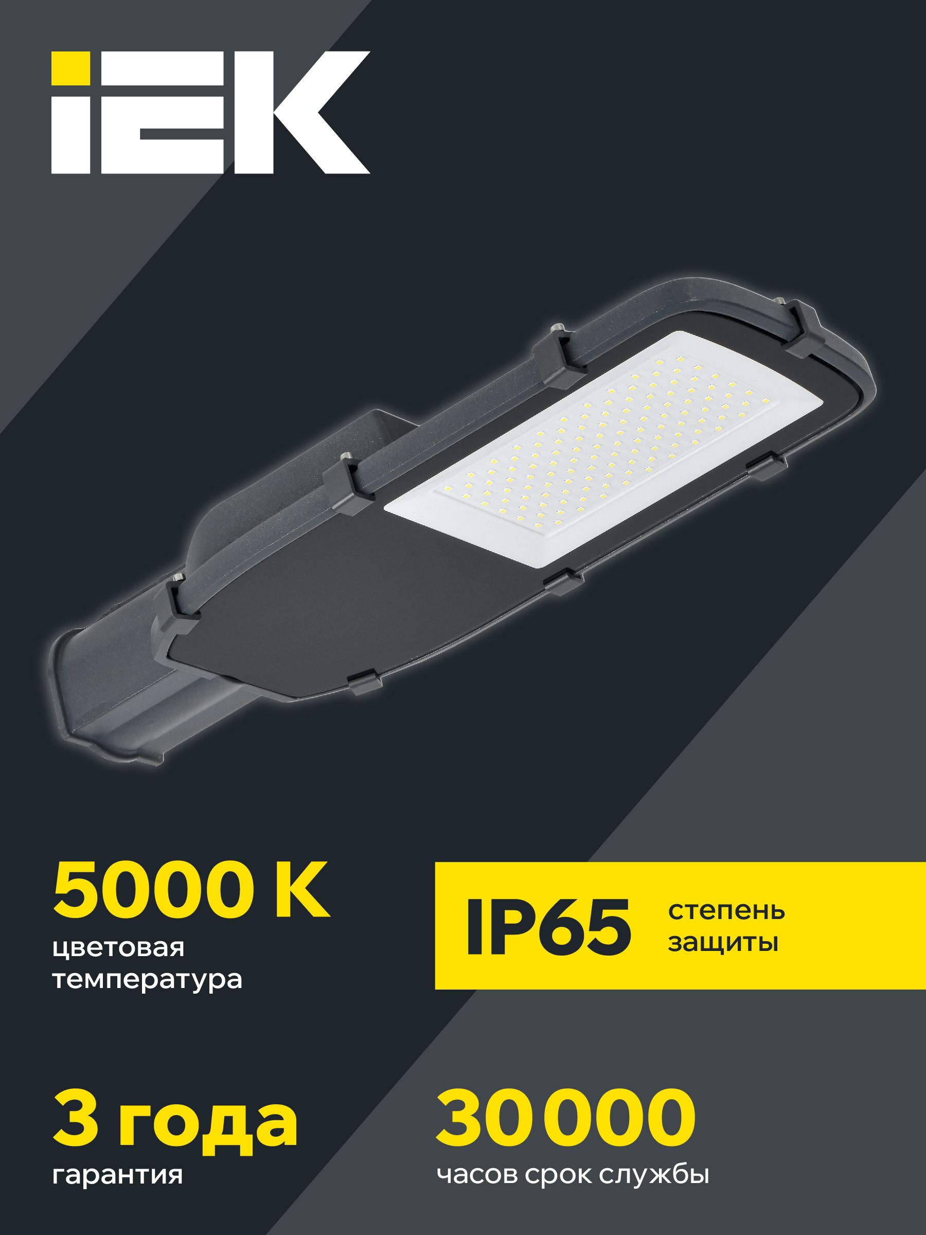 Светильник светодиодный консольный ДКУ 1002-100Д 5000К IP65 серый IEK — фото