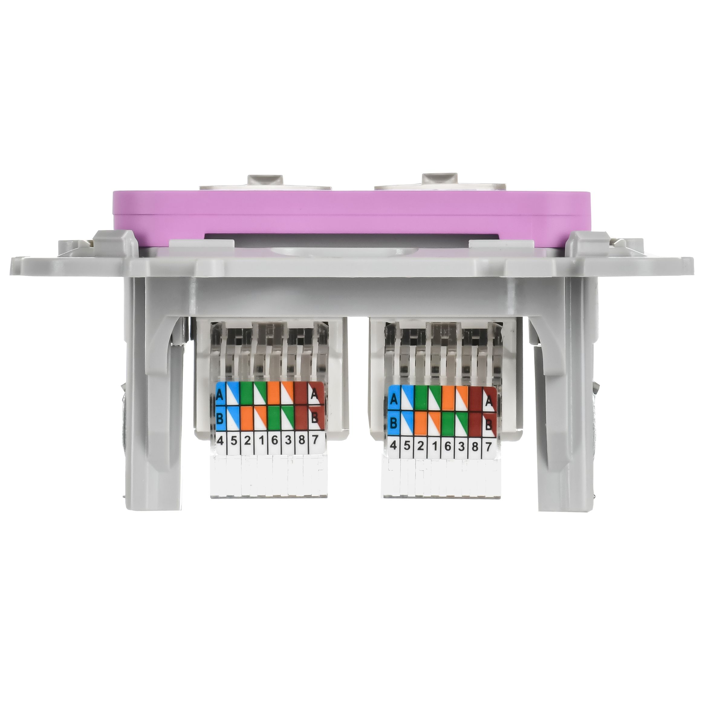 FLITE Розетка 2-местная компьютерная RJ45 категория 5Е UTP РК5е-2-0-ФлПр пурпурный IEK — фото