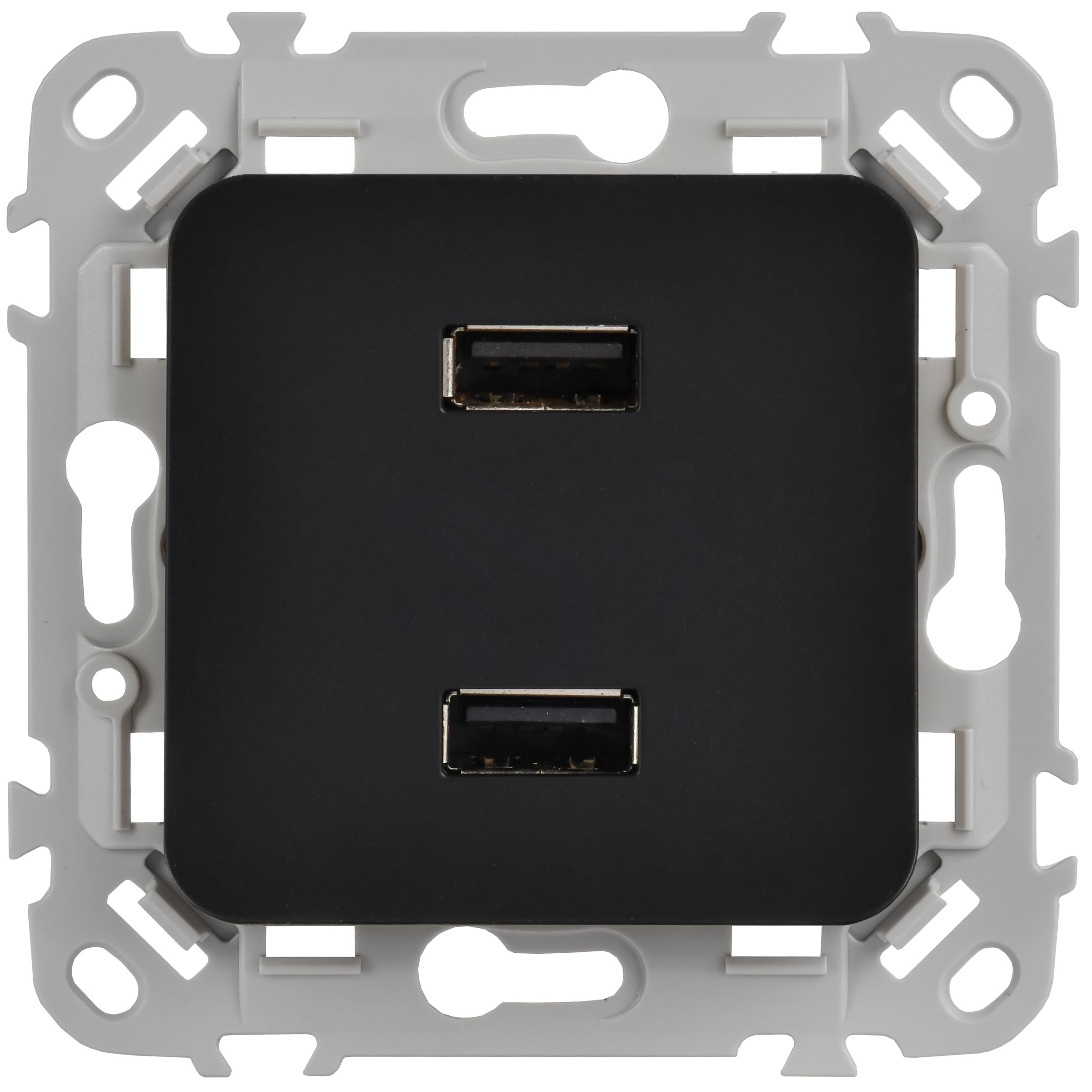 FLITE Розетка USB A+A 2,1А РЮ-2-ФлЧ черный IEK — фото