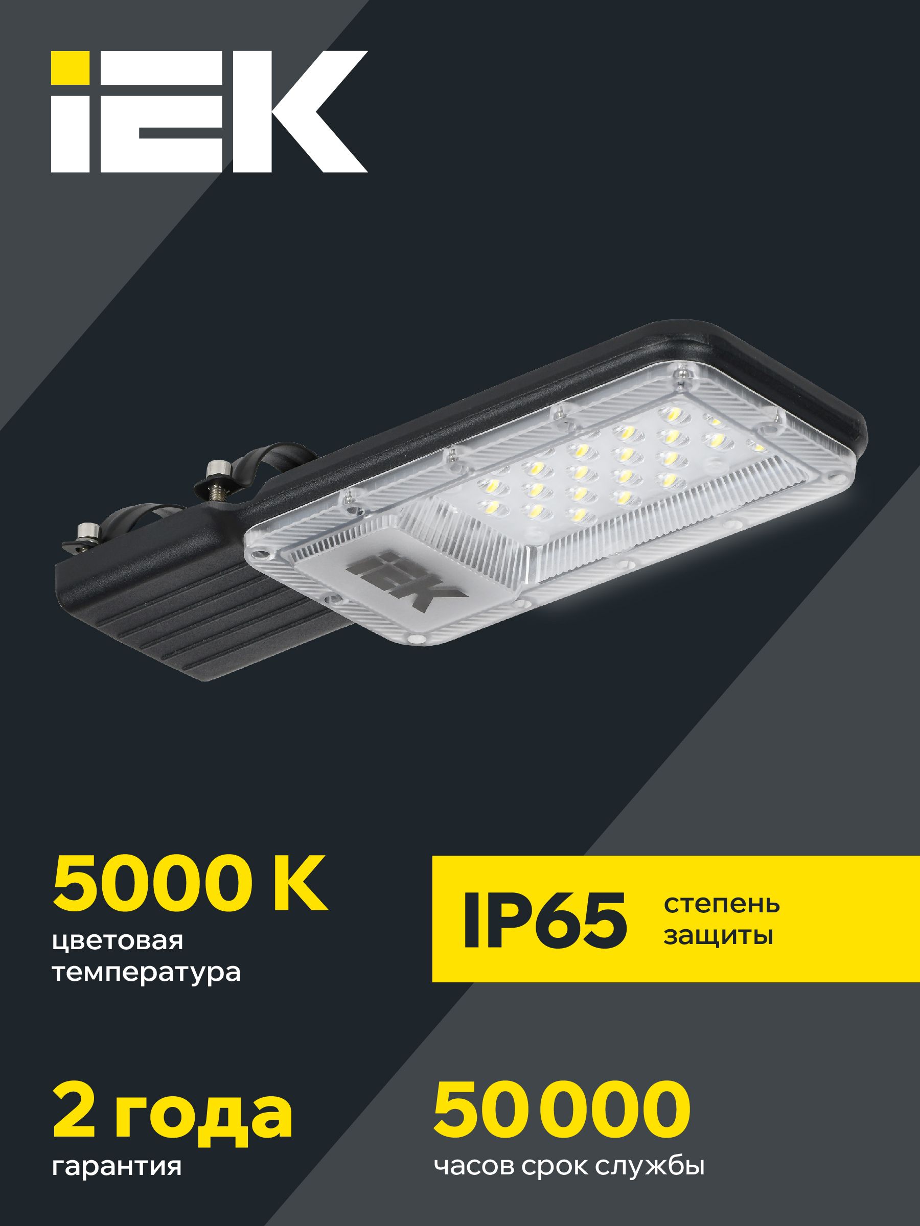 Светильник светодиодный консольный ДКУ 1011-30Ш 5000К IP65 IEK — фото