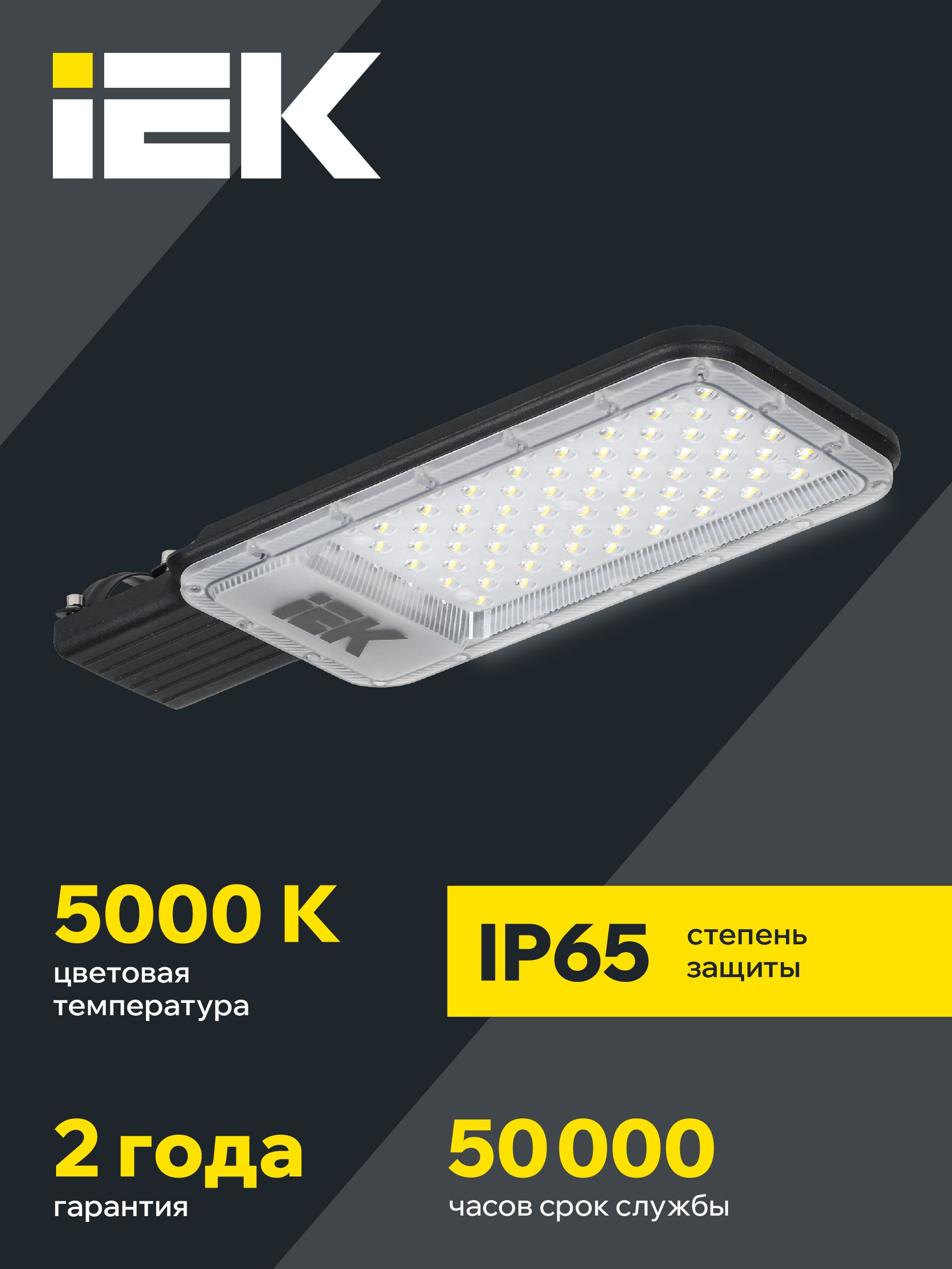 Светильник светодиодный консольный ДКУ 1011-100Ш 5000К IP65 IEK — фото