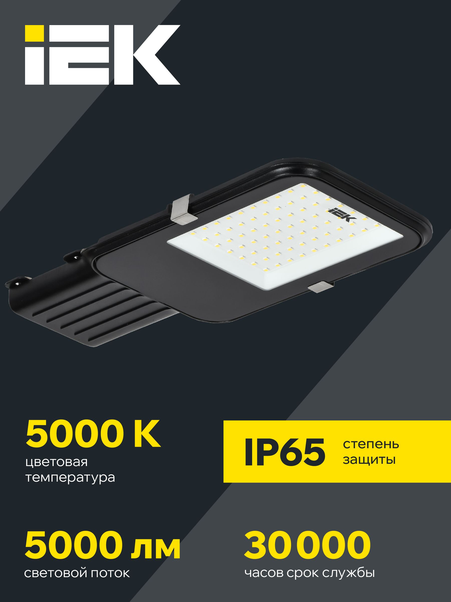 Светильник светодиодный консольный ДКУ 1013-50Д 5000К IP65 IEK — фото