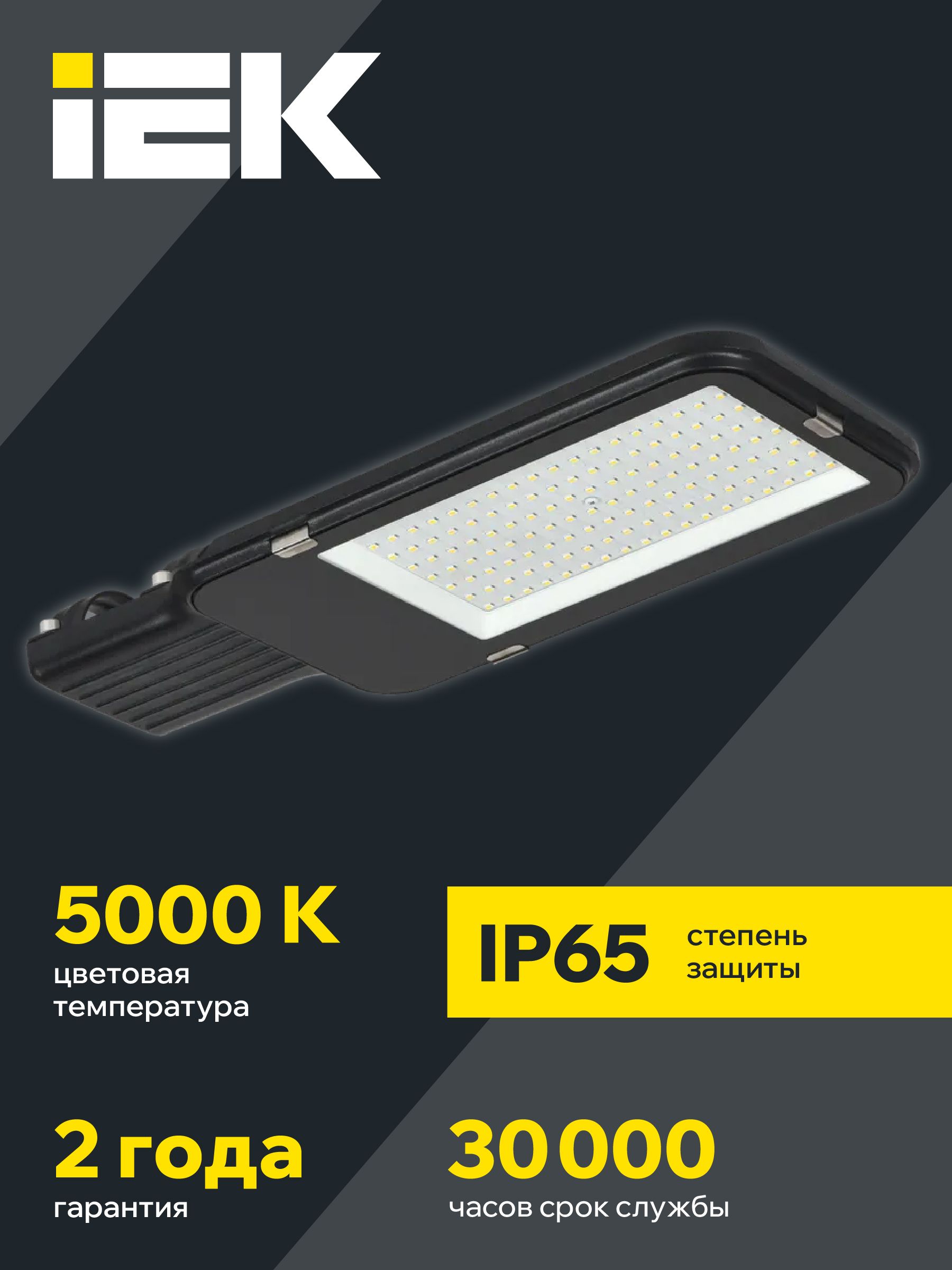 Светильник светодиодный консольный ДКУ 1013-100Д 5000К IP65 IEK — фото