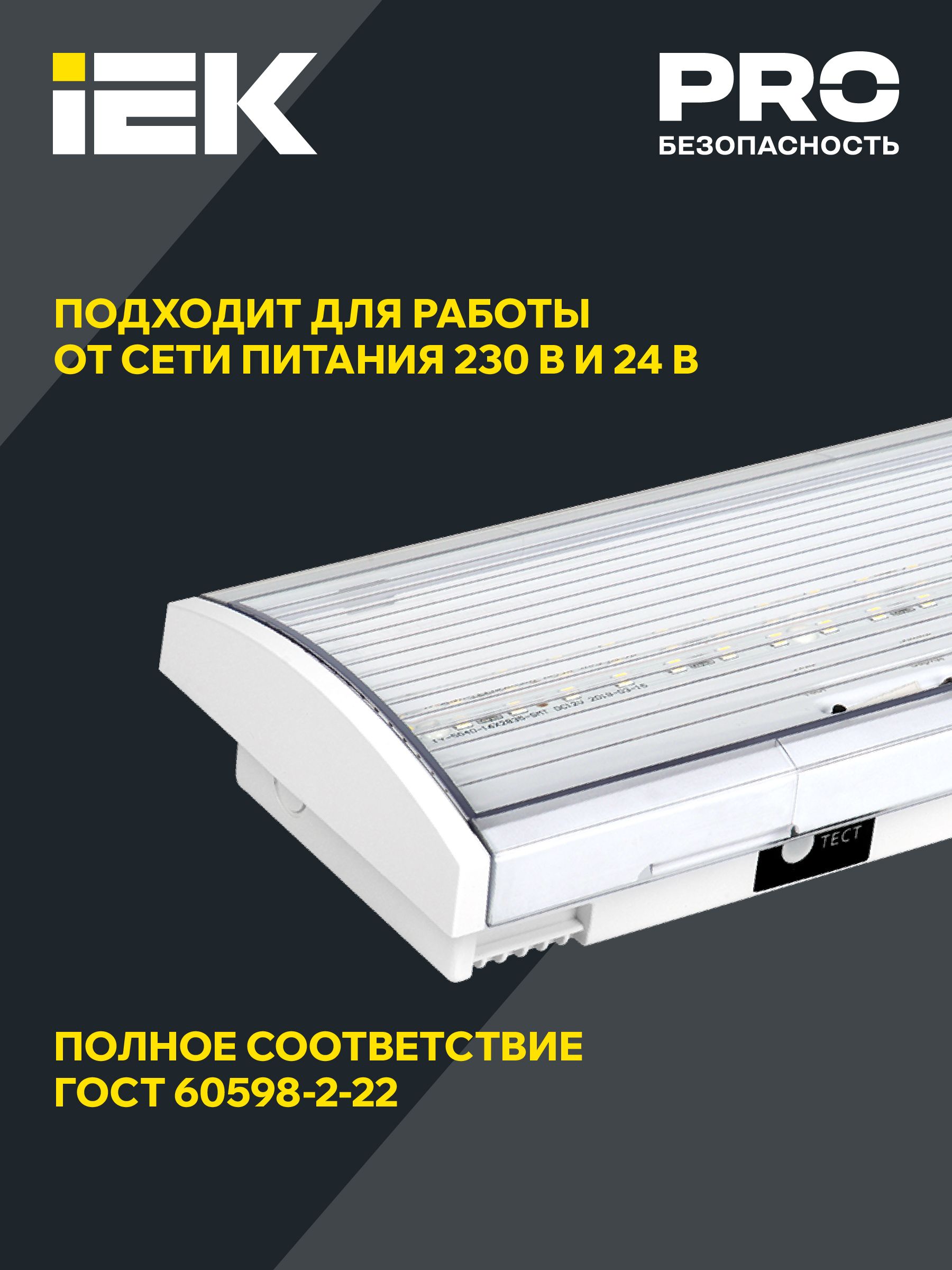 Светильник аварийный ДПА 5040-3 универсальный 3ч IP54 IEK — фото