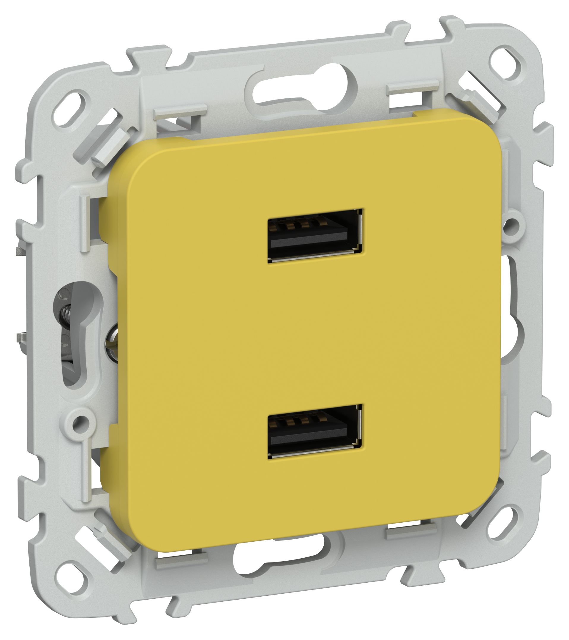FLITE Розетка USB A+A 2,1А РЮ-2-ФлЖК желтый карри IEK