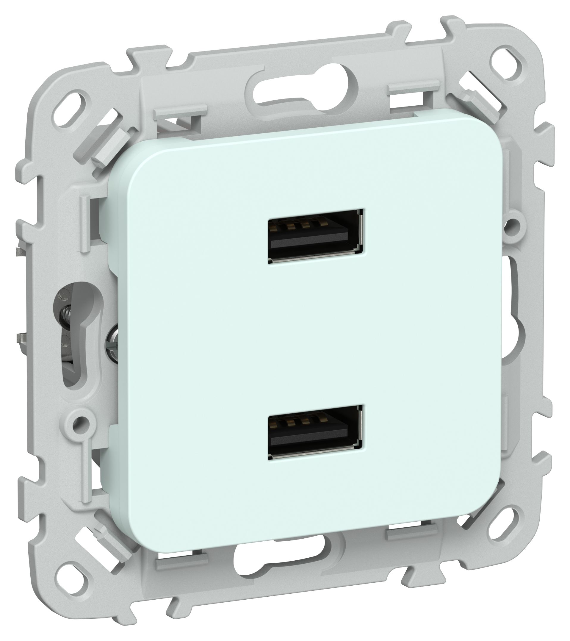 FLITE Розетка USB A+A 2,1А РЮ-2-ФлХЛ холодный лед IEK