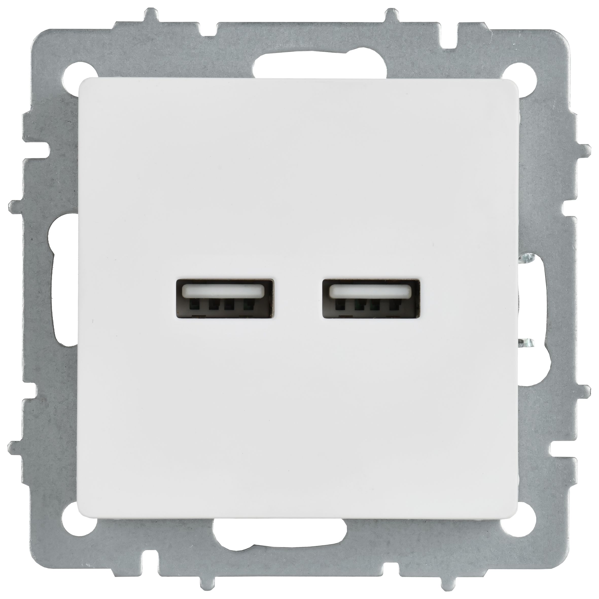 BRITE Розетка USB A+A 5В 3,1А РЮ10-1-БрАБ арктический белый IEK — фото