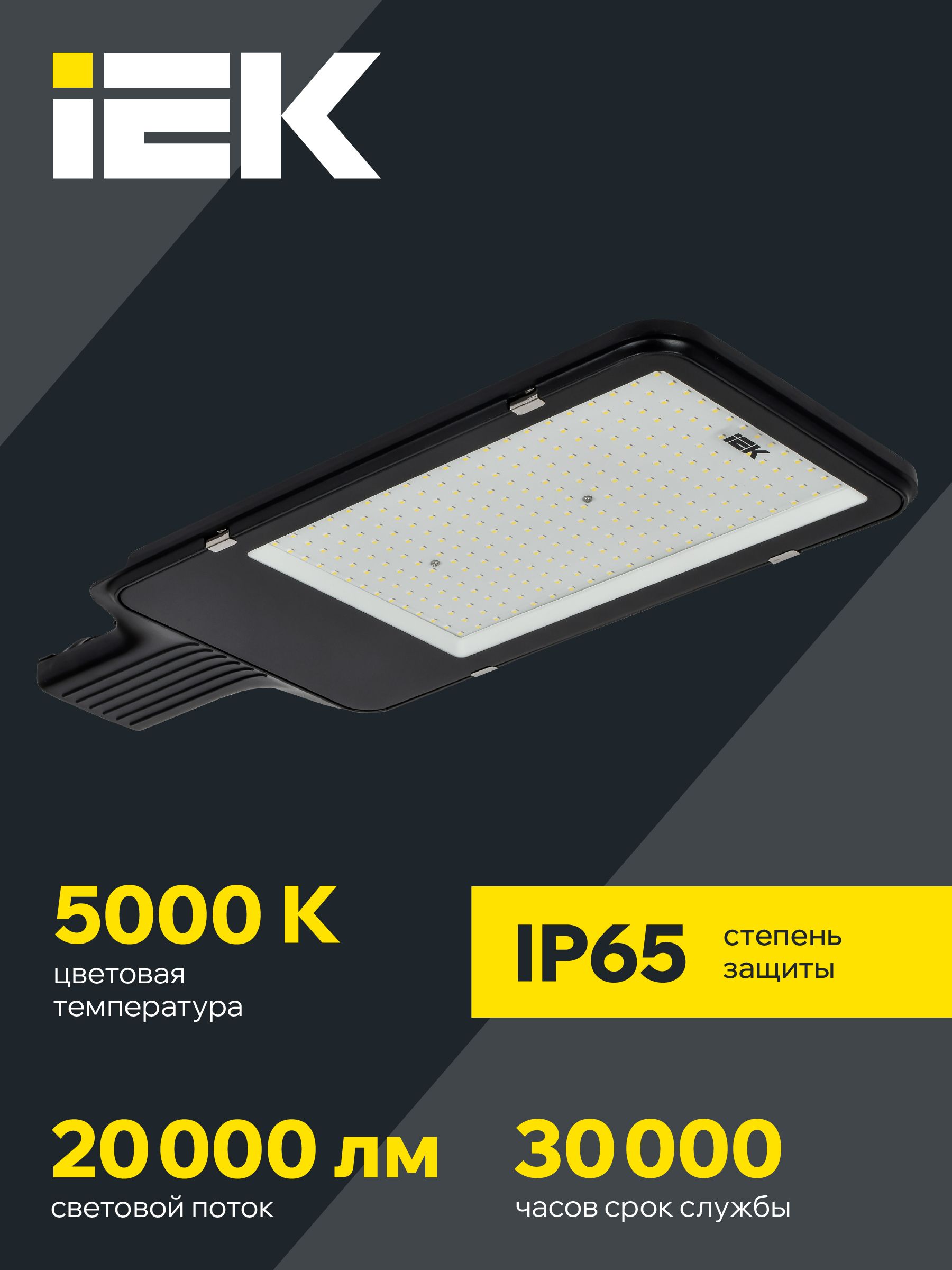 Светильник светодиодный консольный ДКУ 1013-200Д 5000К IP65 IEK — фото