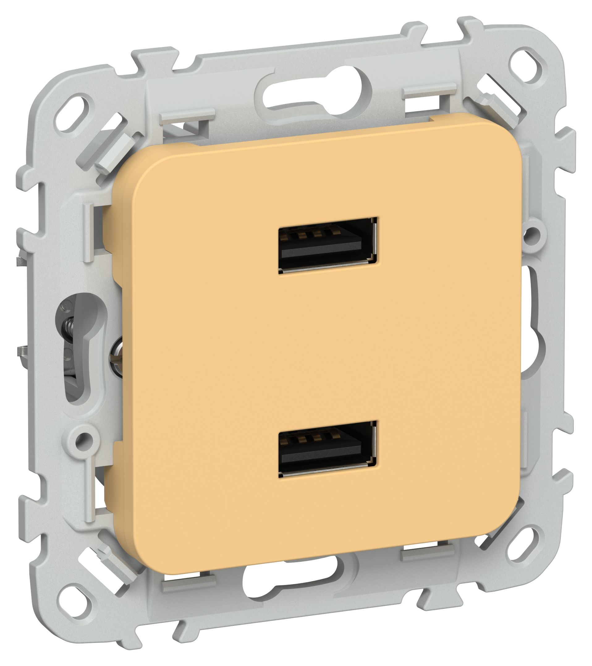 FLITE Розетка USB A+A 2,1А РЮ-2-ФлЗ золотарник IEK
