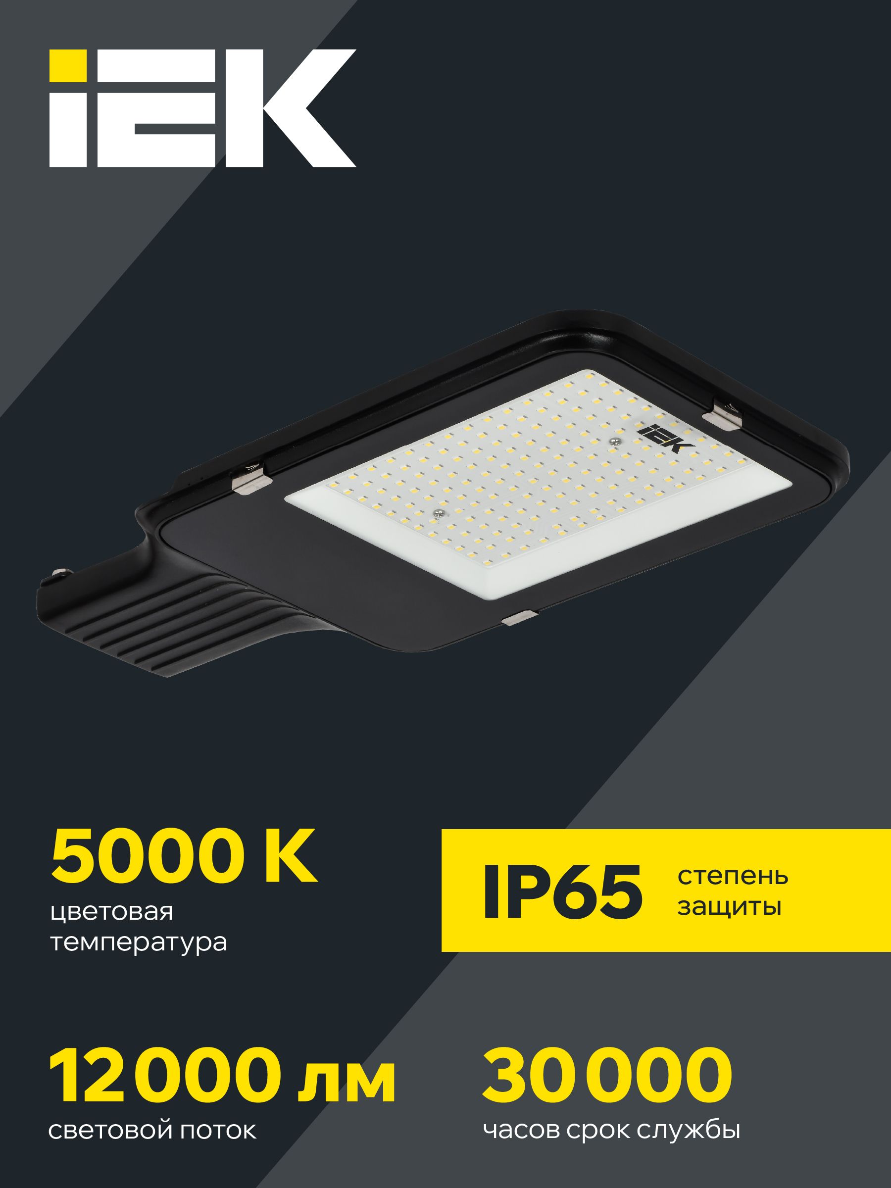 Светильник светодиодный консольный ДКУ 1013-120Д 5000К IP65 IEK — фото