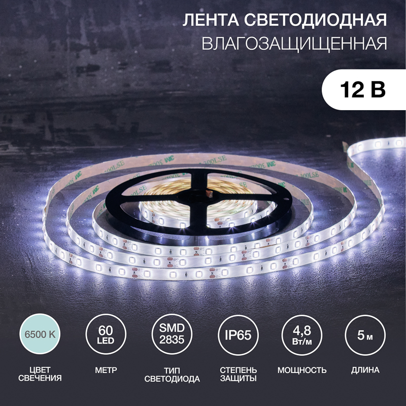 Лента светодиодная 12В, SMD2835, 4,8Вт/м, 60 LED/м, 6500К, 8мм, 5м, IP65 LAMPER — фото