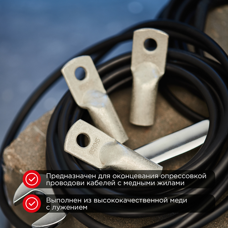 Наконечник медный луженый ТМЛ 95–10–15 (95мм² - Ø10мм) ГОСТ 7386-80 (в упак. 25 шт.) REXANT — фото