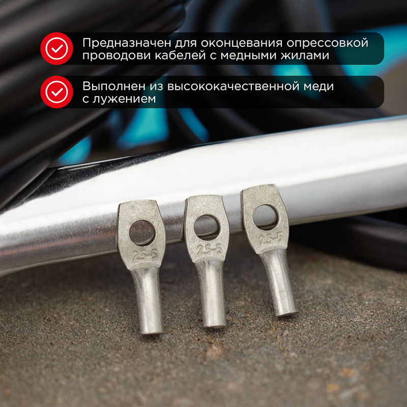 Наконечник медный луженый ТМЛ 120–12–17 (120мм² - Ø12мм) ГОСТ 7386-80 (в упак. 2 шт.) REXANT — фото