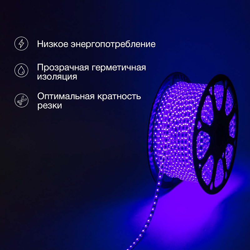 Лента светодиодная 220В, SMD2835, 4,8Вт/м, 60 LED/м, Синий, 10х7мм, 100м, с кабелем питания, IP67 NEON-NIGHT — фото