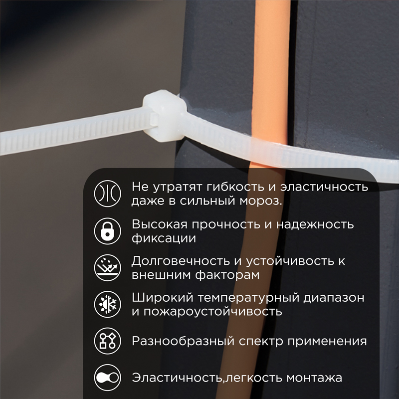 Стяжка нейлоновая морозостойкая 250x3,6мм, белая (100 шт/уп) REXANT — фото