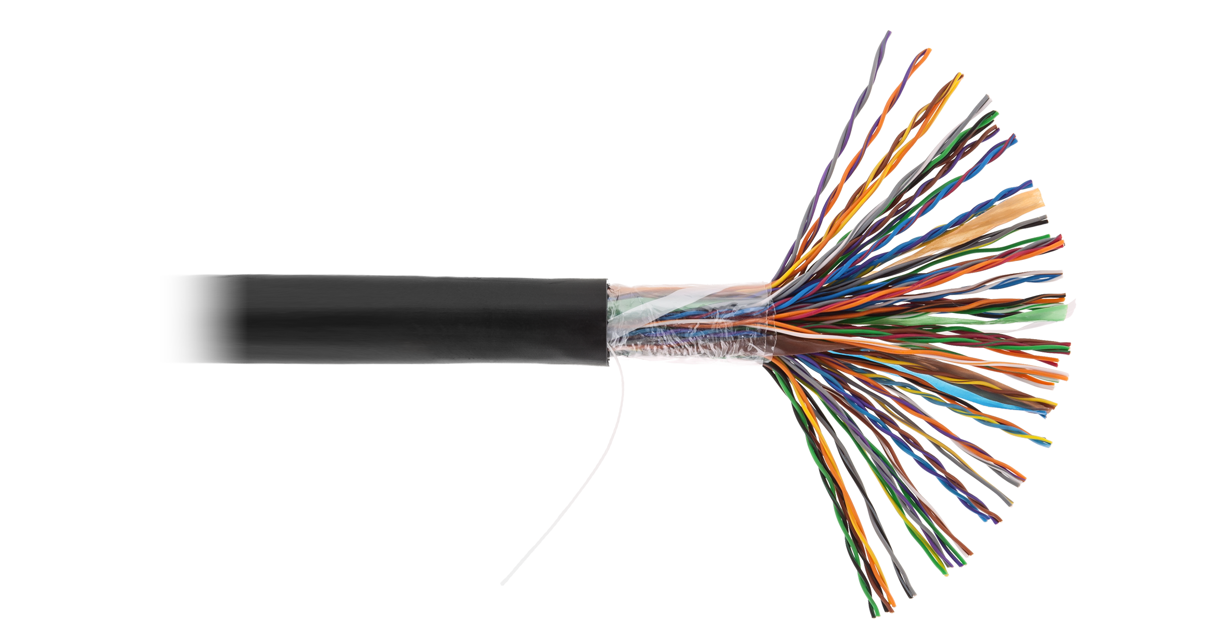 Кабель NETLAN U/UTP 50 пар, Кат.5 (Класс D), 100МГц, одножильный, BC (чистая медь), полиэтилен, внешний, до -40C, черный, 305м - гарантия 1 год — фото
