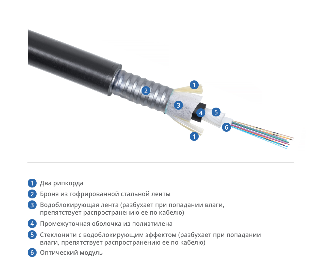 Cabeus CLT-A-5-01X24-Z-PE-ARM-PE-DD-OUT-40 Кабель волоконно-оптический 50/125 (OM2) многомодовый, 24 волокна, loose tube, бронированный стальной лентой, для внешней прокладки (-50C ~ +70), PE, черный